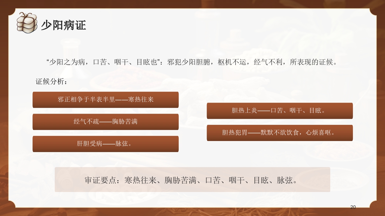 中医六经辨证PPT课件20