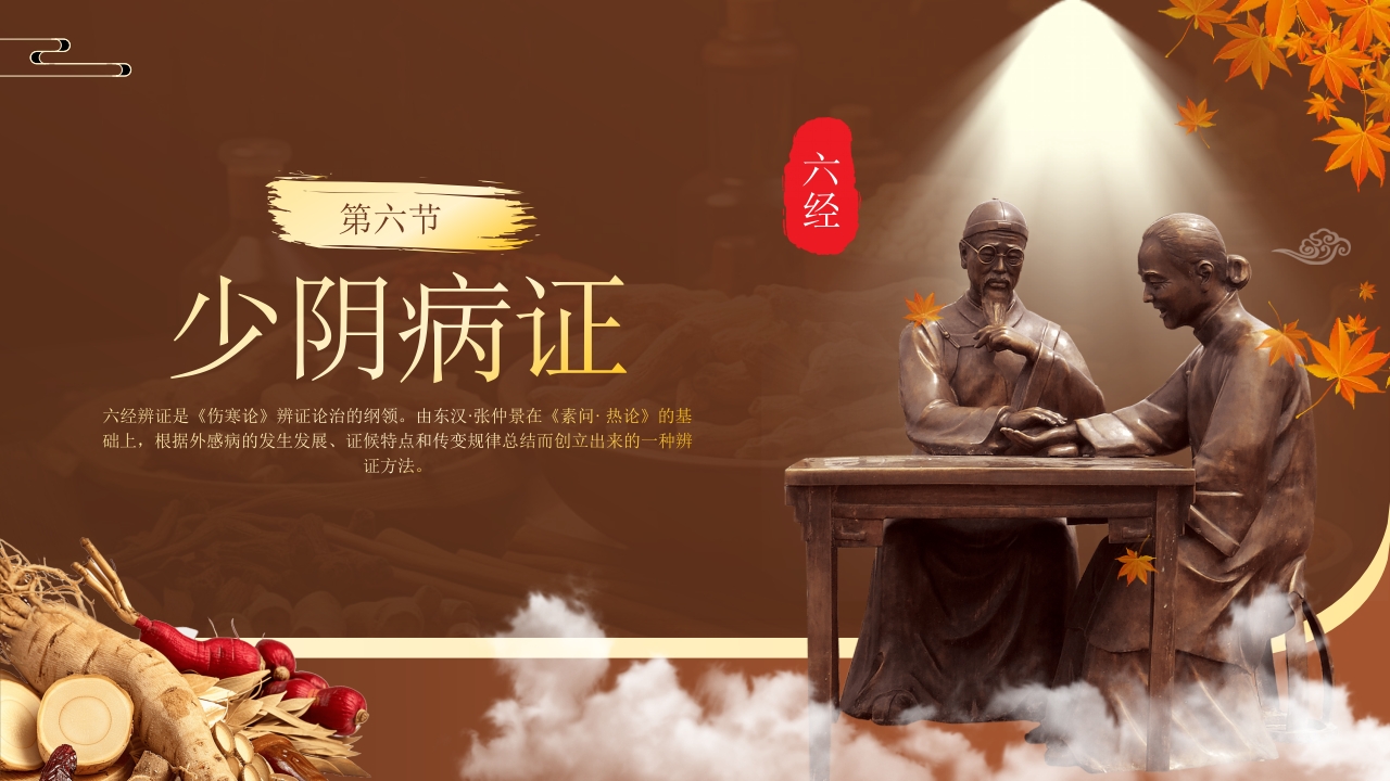 中医六经辨证PPT课件23