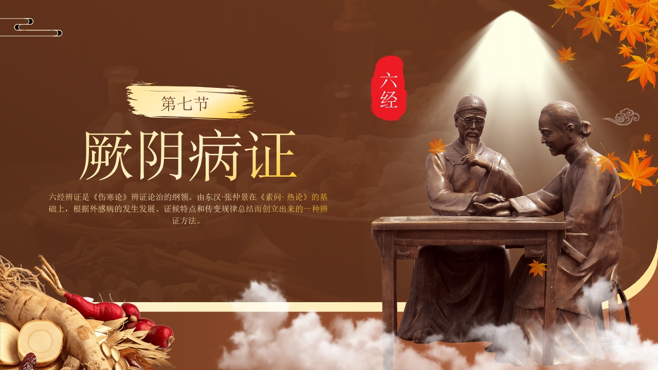 中医六经辨证PPT课件26