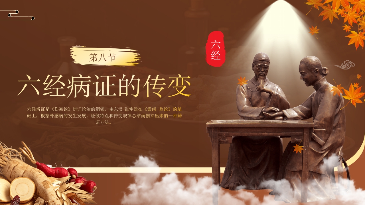 中医六经辨证PPT课件28