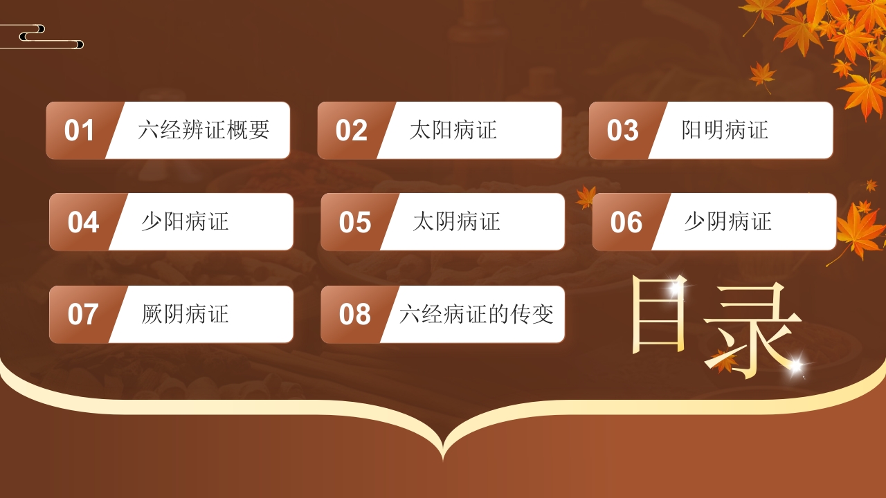 中医六经辨证PPT课件2