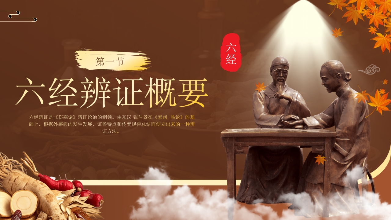中医六经辨证PPT课件3