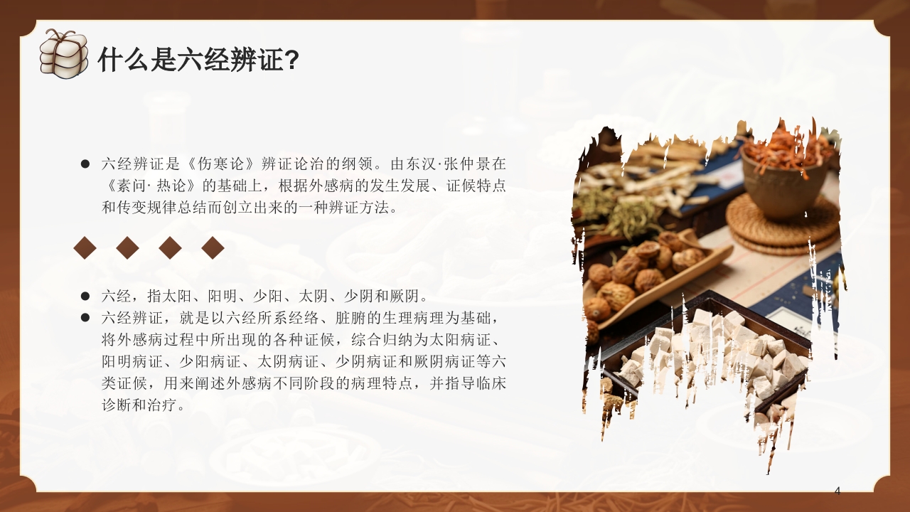 中医六经辨证PPT课件4