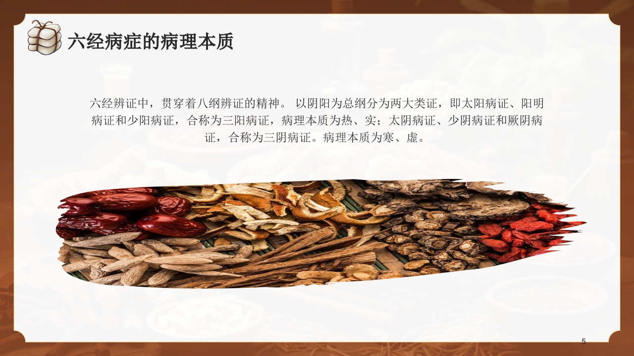 中医六经辨证PPT课件5