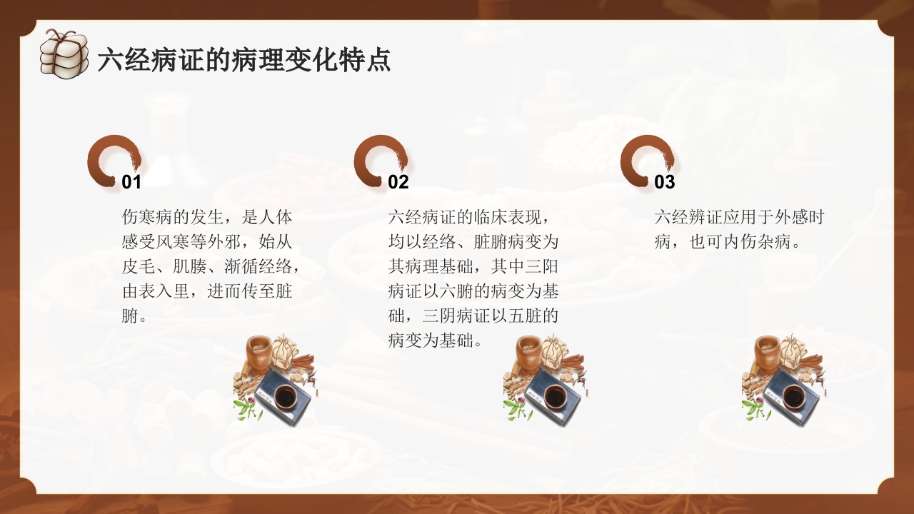 中医六经辨证PPT课件6