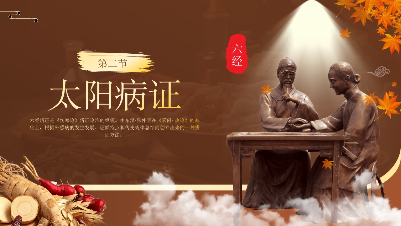 中医六经辨证PPT课件8