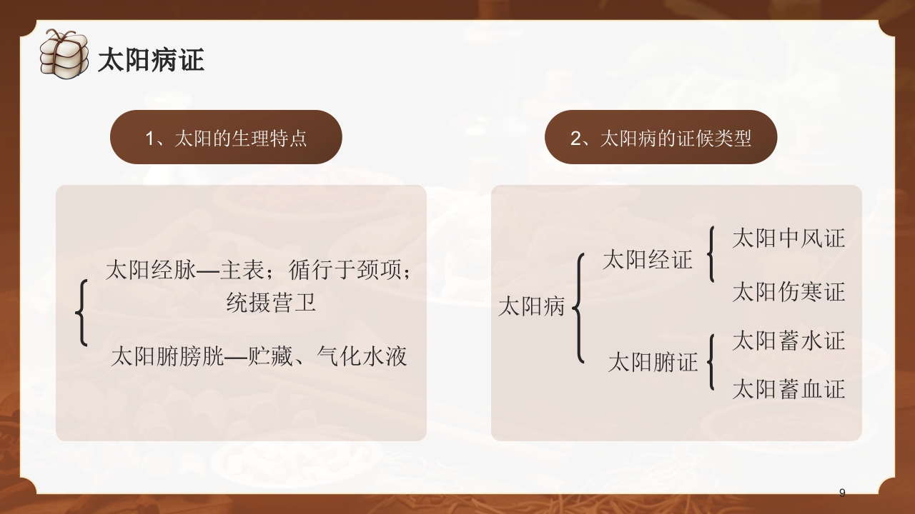中医六经辨证PPT课件9