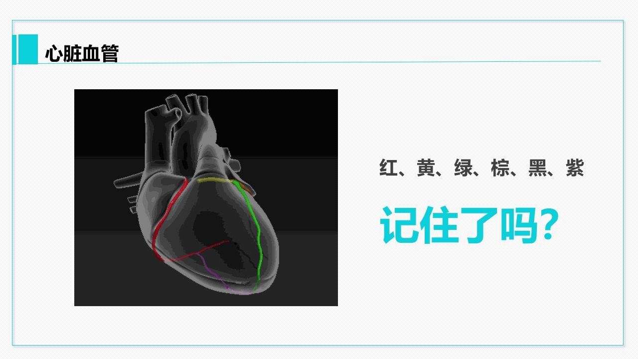 心脏血管介绍分析教学PPT课件26