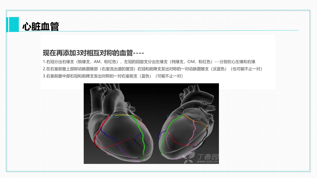 心脏血管介绍分析教学PPT课件27