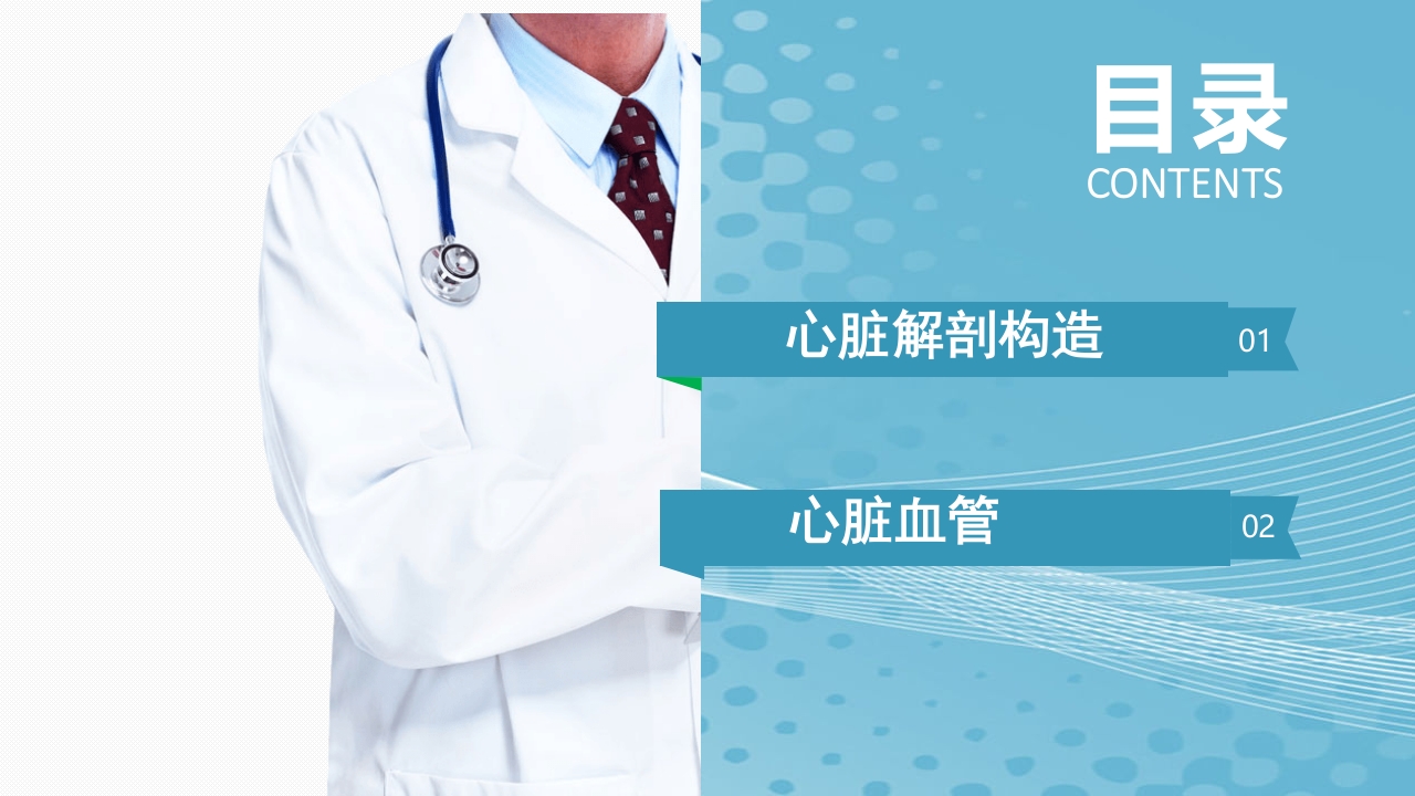 心脏血管介绍分析教学PPT课件2