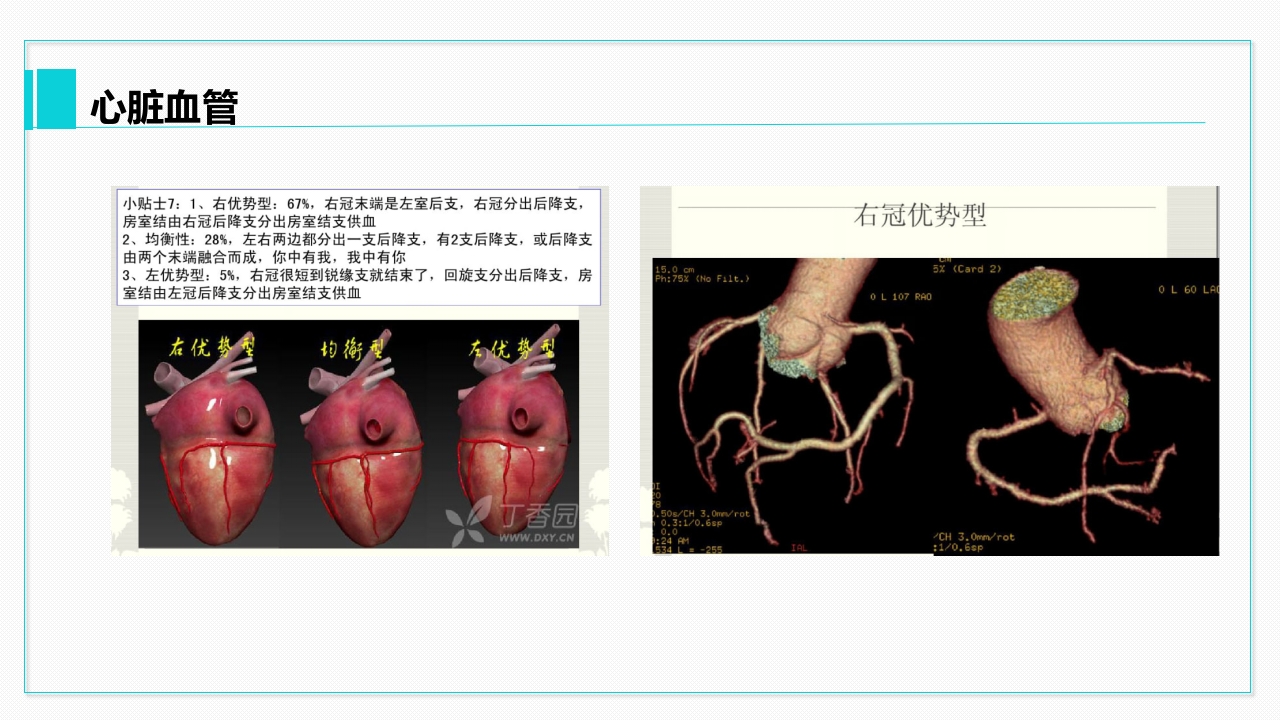 心脏血管介绍分析教学PPT课件30