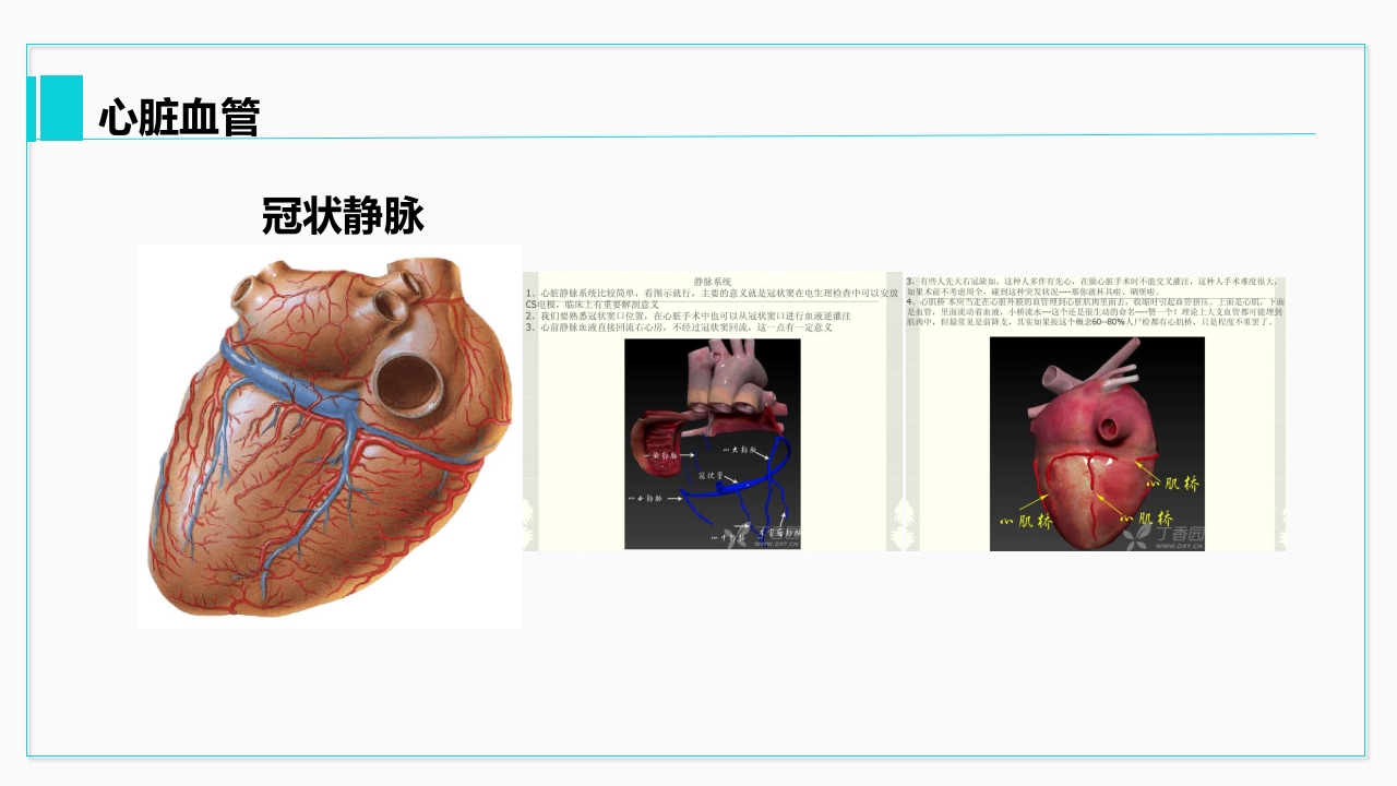 心脏血管介绍分析教学PPT课件35