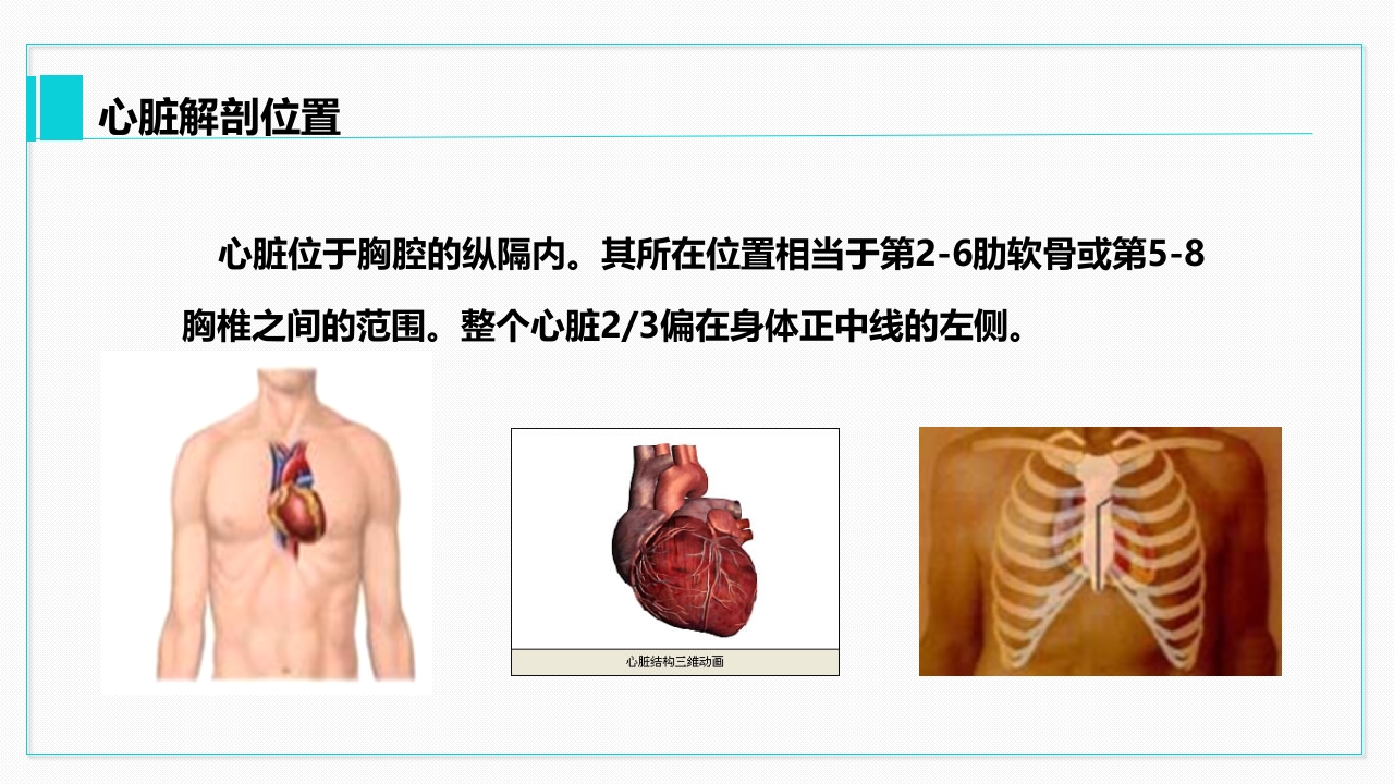 心脏血管介绍分析教学PPT课件4