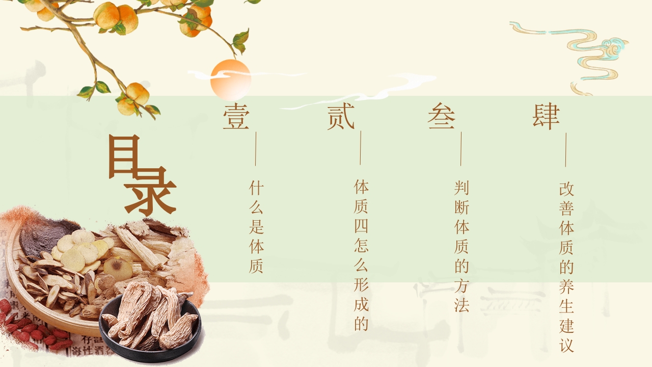 中医体质及养生方案介绍PPT课件2