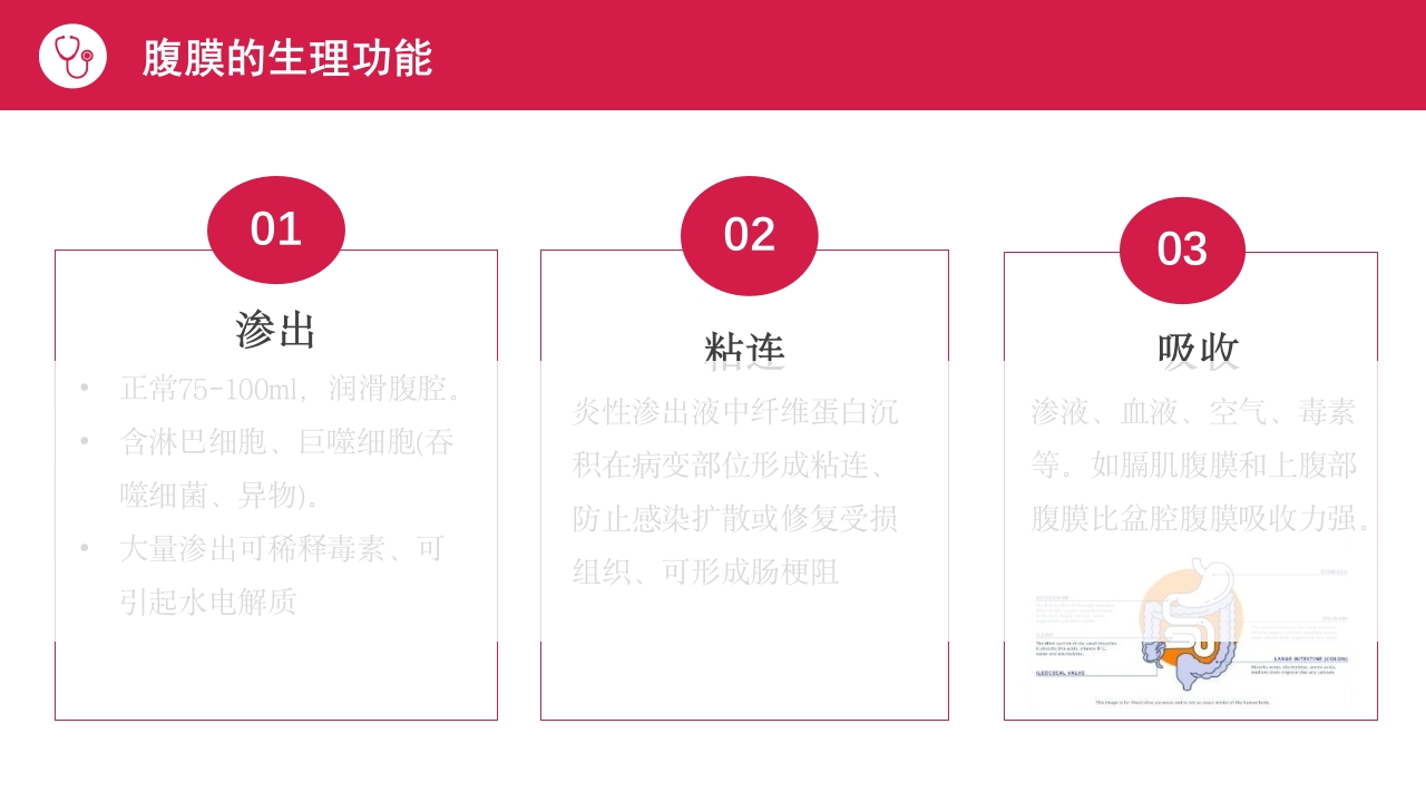 急性腹膜炎患者护理查房PPT课件6