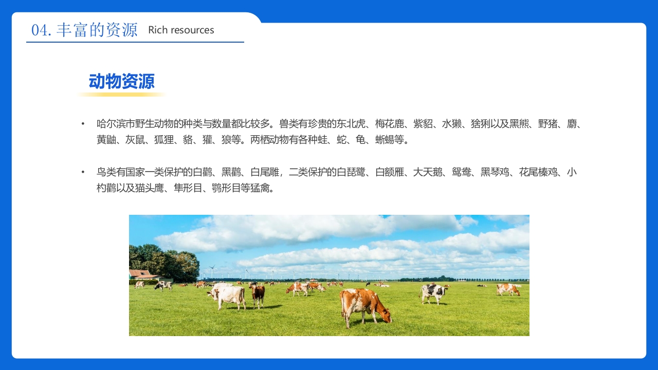 《人间雪城美丽尔滨》哈尔滨城市介绍旅游宣传PPT课件20