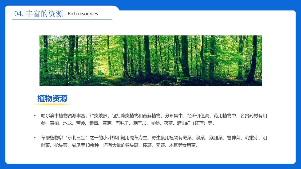 《人间雪城美丽尔滨》哈尔滨城市介绍旅游宣传PPT课件21