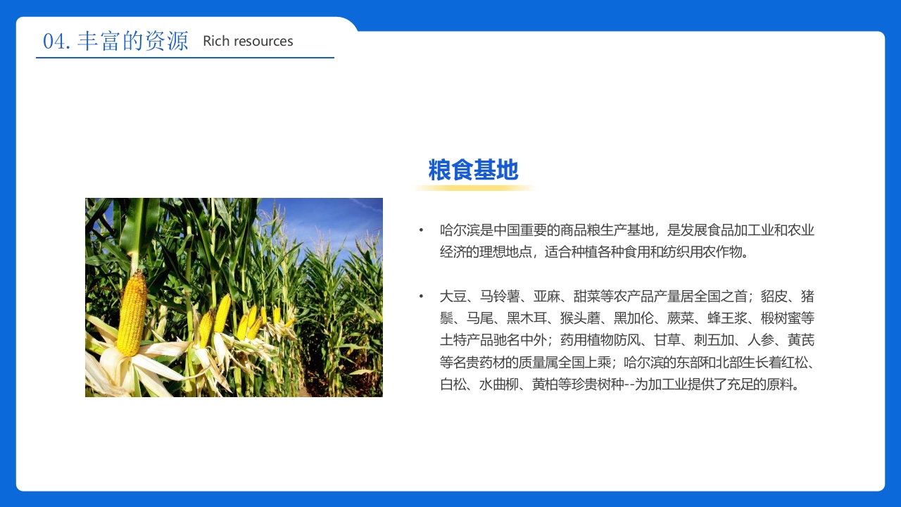 《人间雪城美丽尔滨》哈尔滨城市介绍旅游宣传PPT课件22