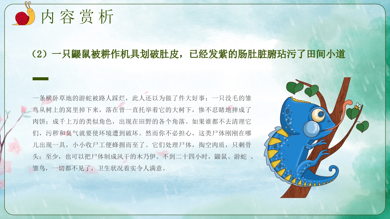 《昆虫记》阅读分享好书推荐读后感PPT课件14