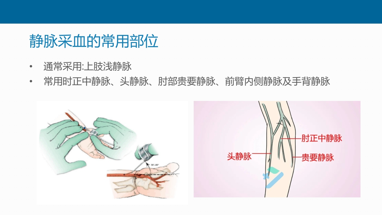 静脉采血技术PPT课件23