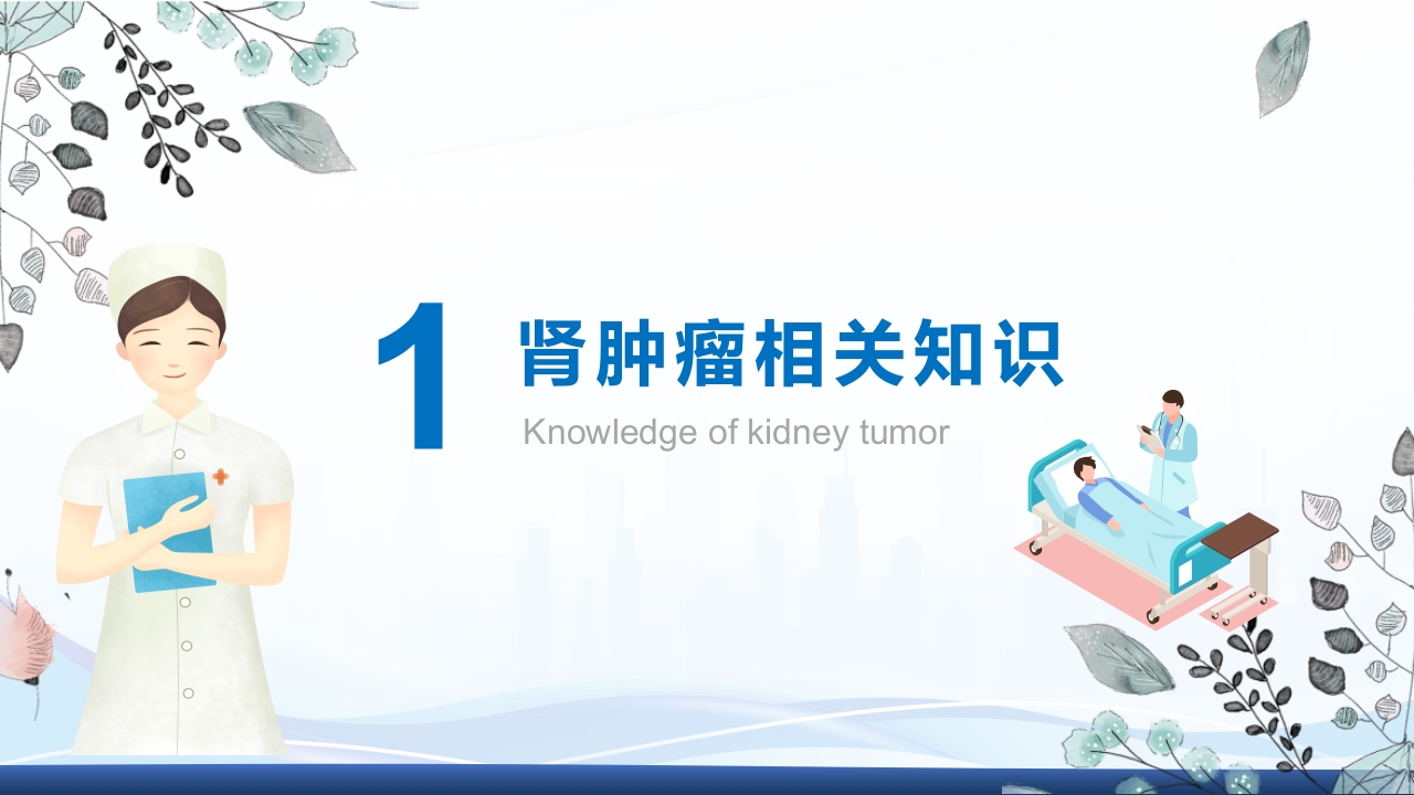 腹腔镜肾部分切除术护理查房PPT课件3