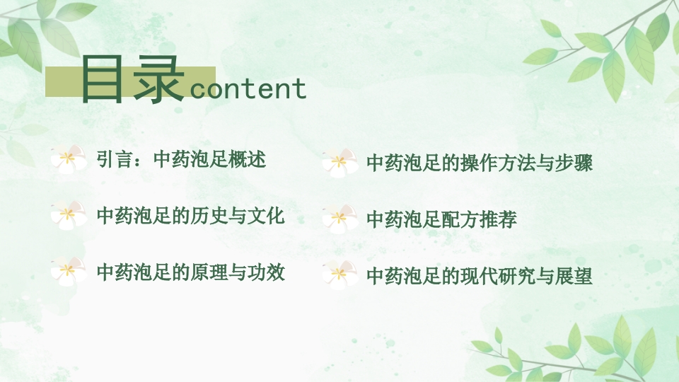 中药泡足PPT课件2