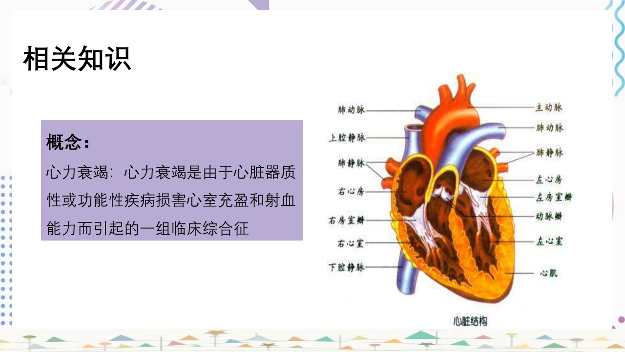 血液透析患者心力衰竭护理查房PPT课件3