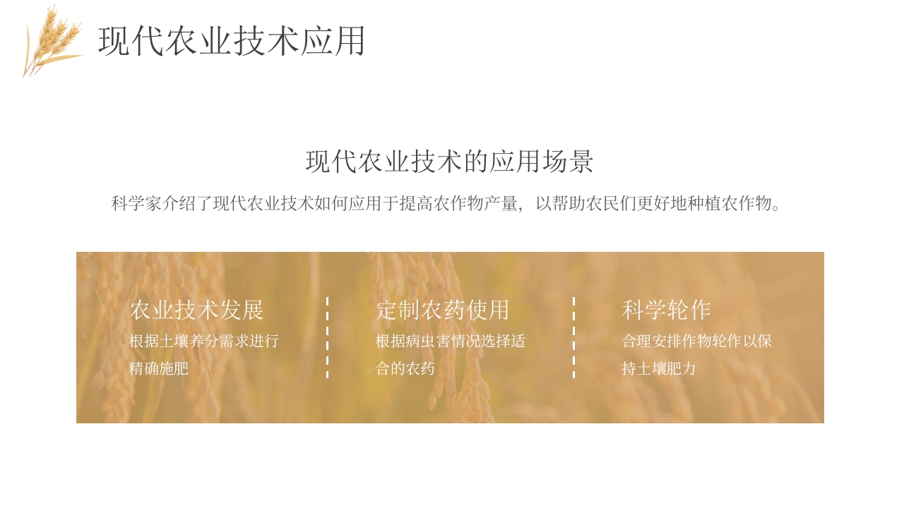 科技助力农业丰收PPT课件10