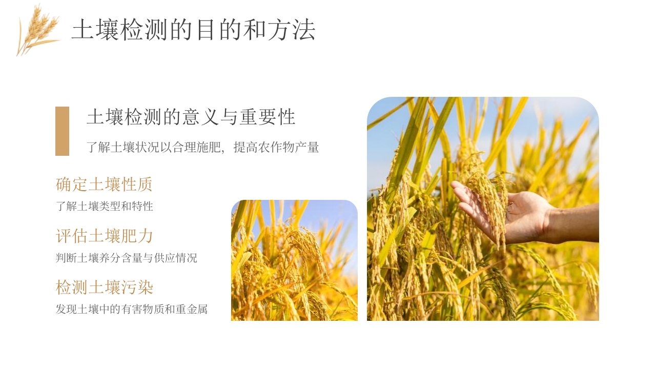 科技助力农业丰收PPT课件12