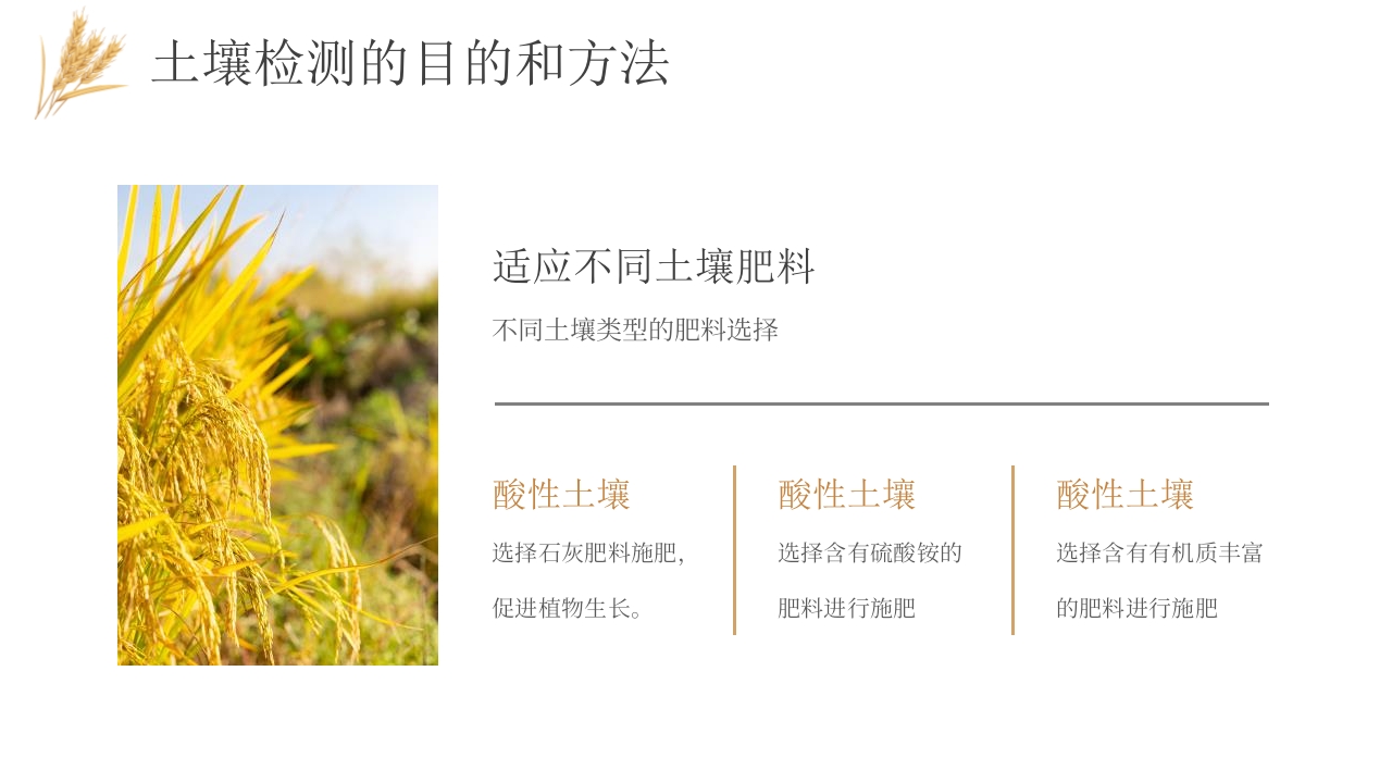 科技助力农业丰收PPT课件14