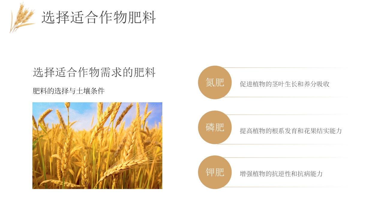 科技助力农业丰收PPT课件17