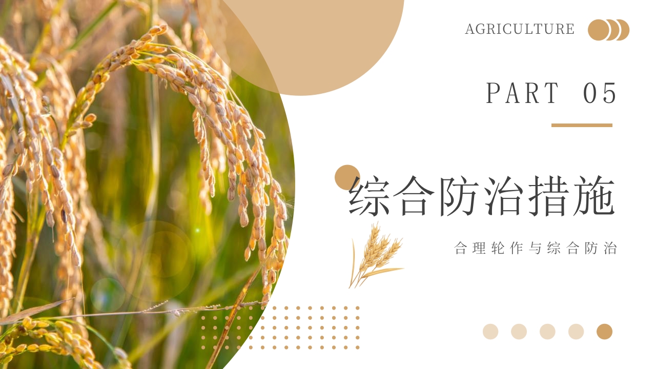 科技助力农业丰收PPT课件19