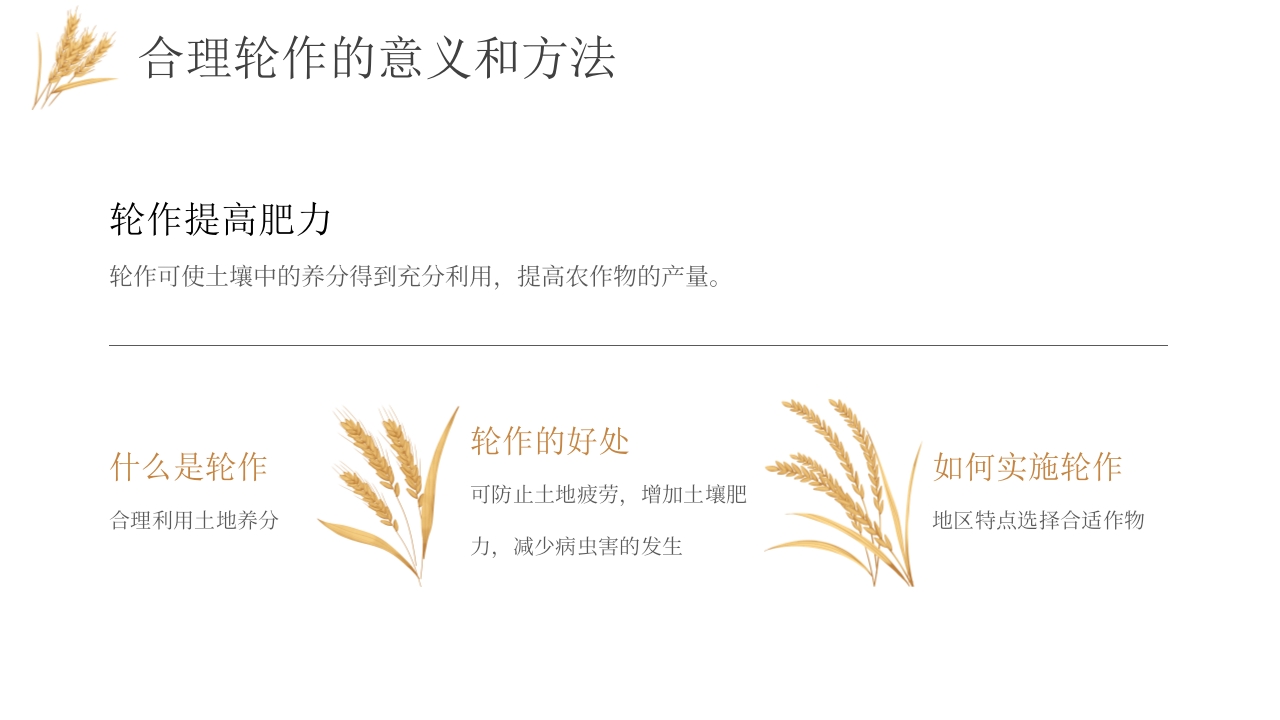 科技助力农业丰收PPT课件20