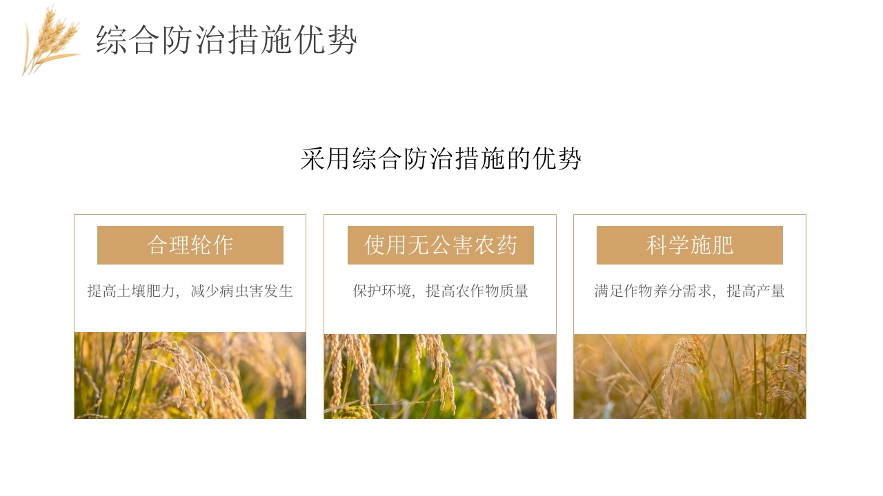 科技助力农业丰收PPT课件22