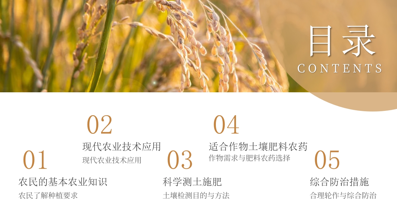 科技助力农业丰收PPT课件2