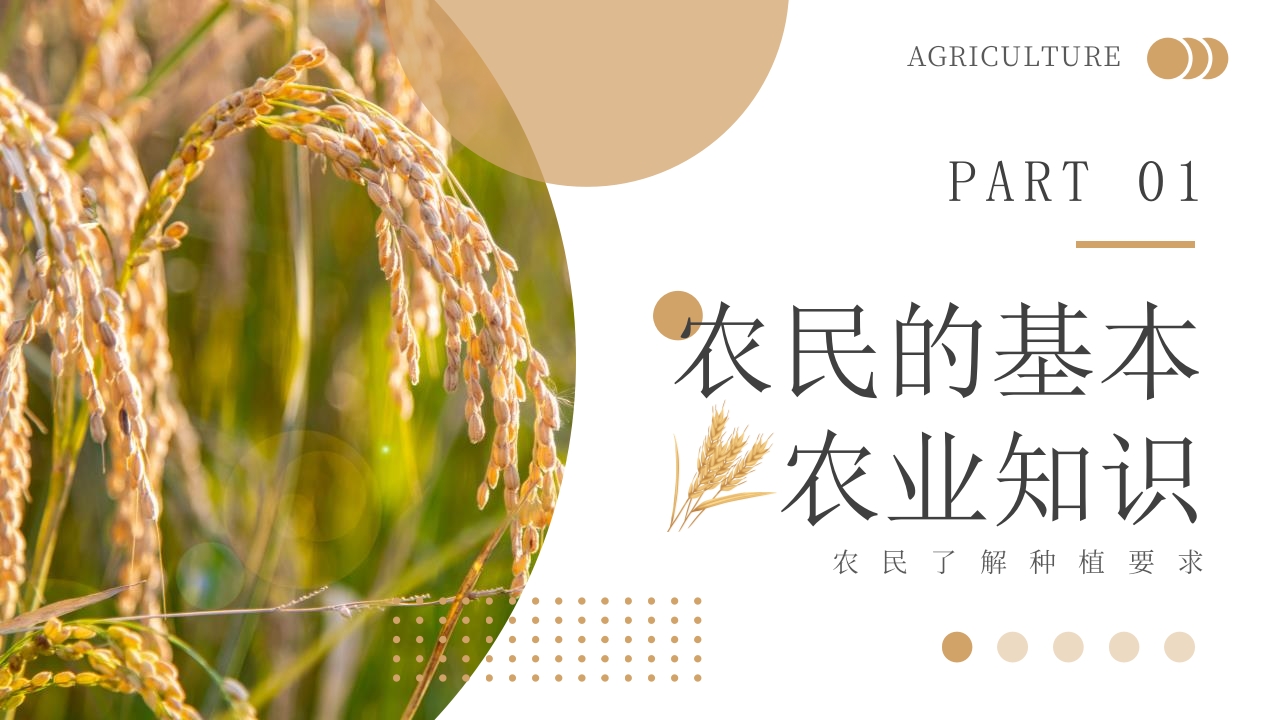 科技助力农业丰收PPT课件3