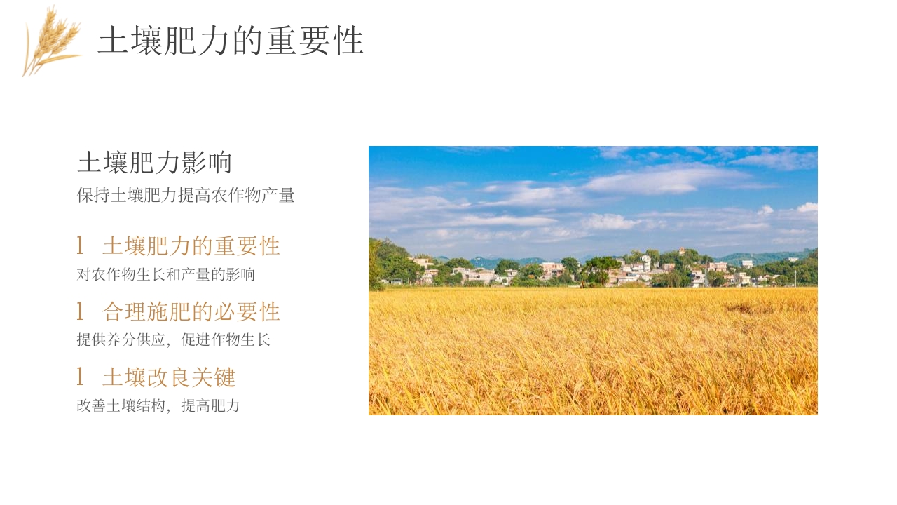 科技助力农业丰收PPT课件5