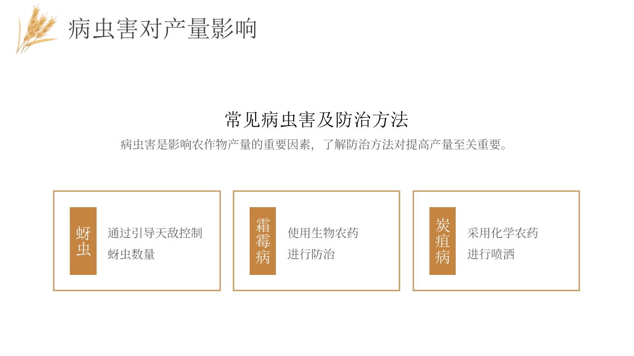 科技助力农业丰收PPT课件6