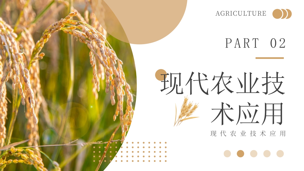 科技助力农业丰收PPT课件7
