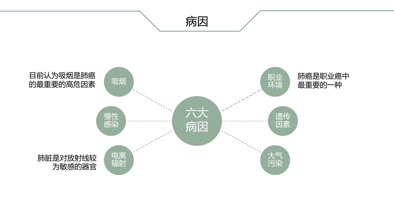 肺癌根治术后患者的护理查房PPT课件3