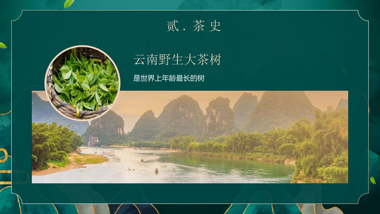 国潮风茶艺茶道培训PPT课件8