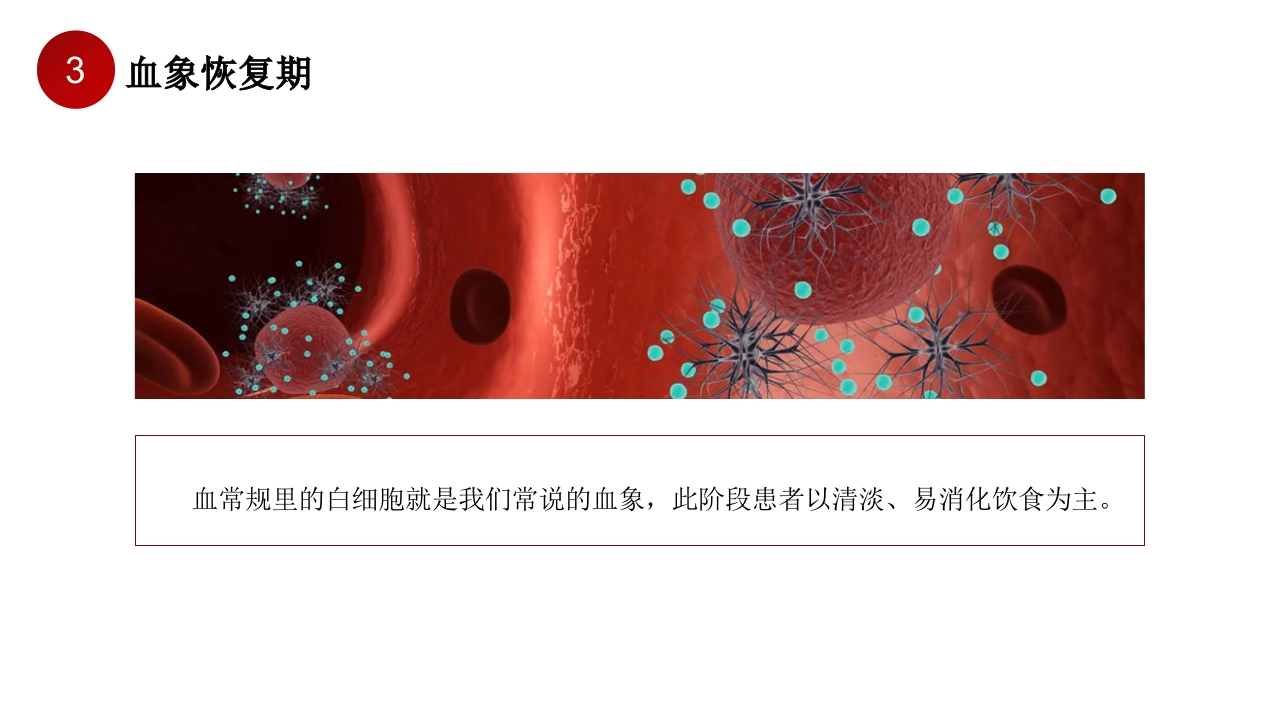 造血干细胞移植期间饮食护理PPT课件15