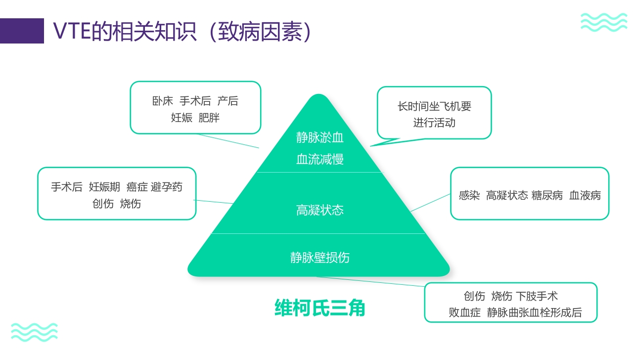 vte的预防及护理PPT课件6