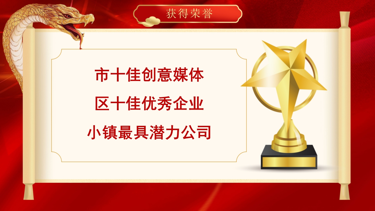 “金蛇纳瑞”年度总结表彰年会PPT课件10