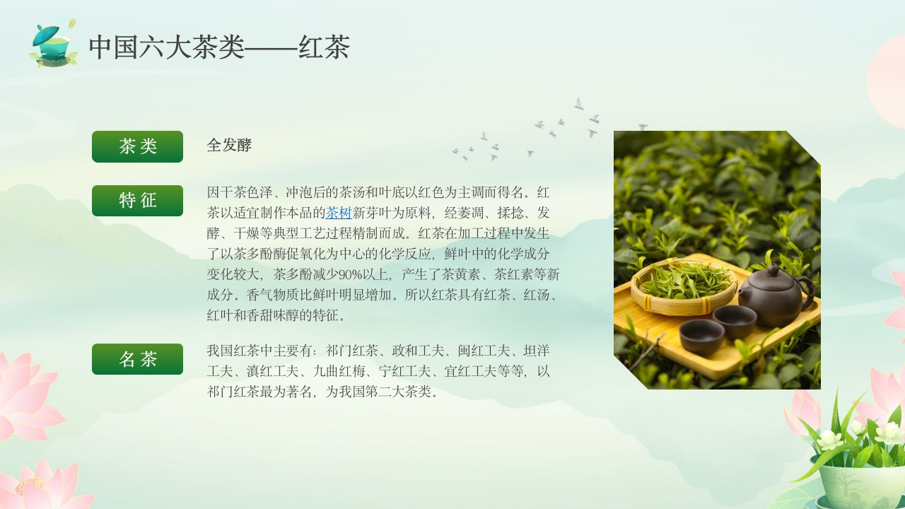 茶叶介绍茶文化介绍PPT课件4