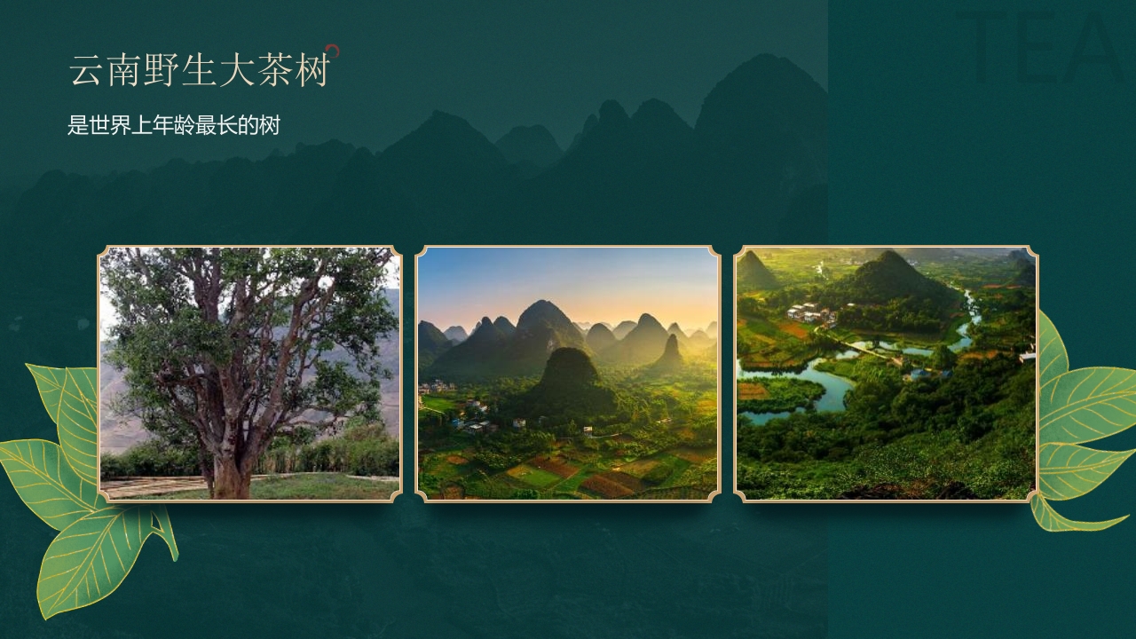 国潮山水背景的茶艺茶道培训PPT8