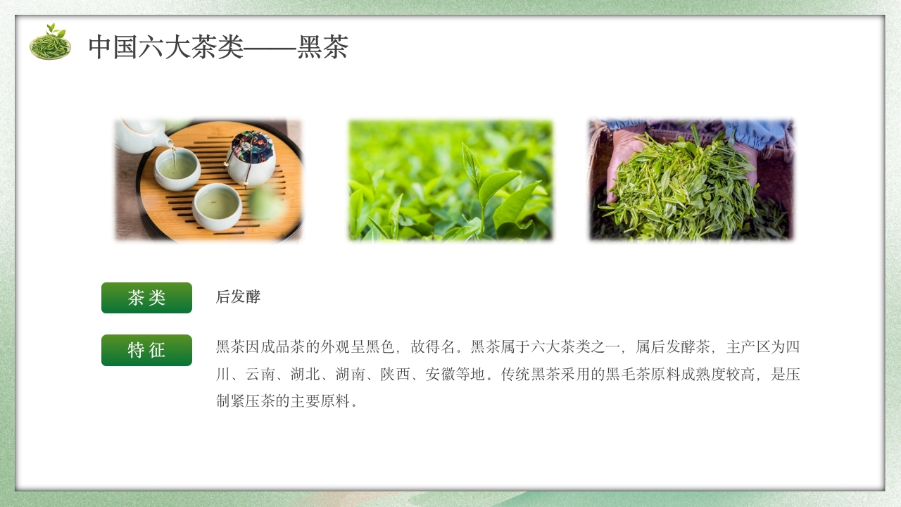 古风茶叶相关知识培训介绍PPT课件8