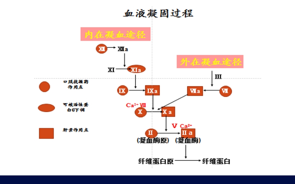 抗凝药物的合理使用PPT课件6