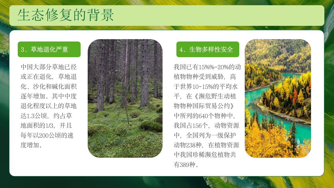 生态修复培训保护生态技术培训PPT课件11