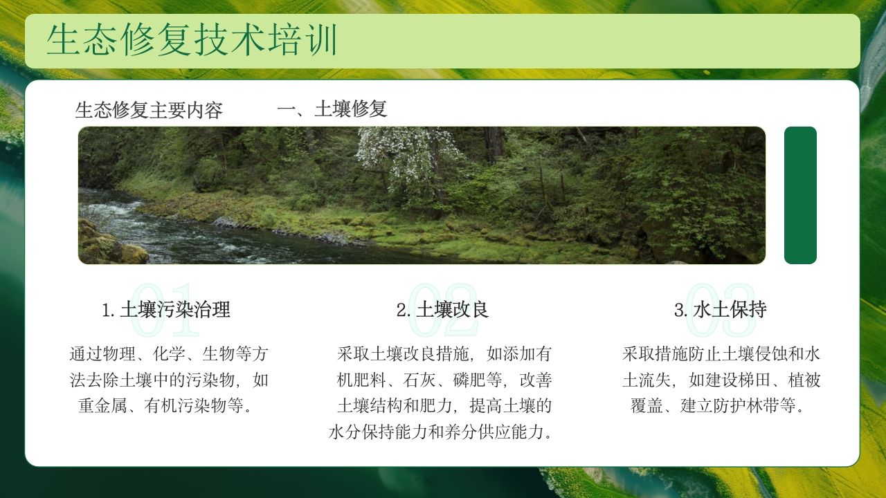 生态修复培训保护生态技术培训PPT课件14